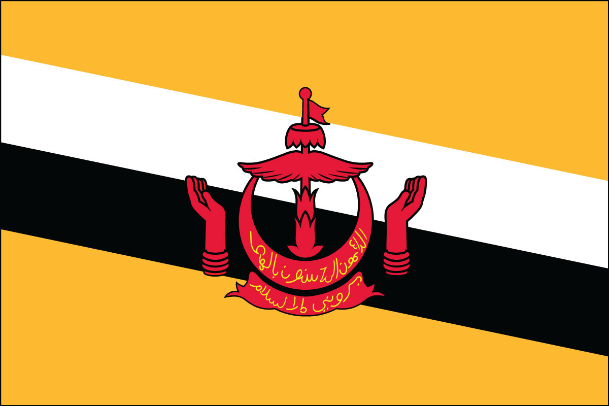 Brunei - 4" x 6" Minature Stick Flags
