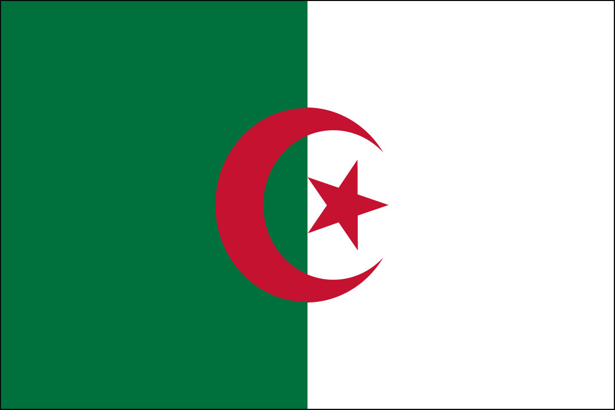 Algeria - 4" x 6" Minature Stick Flags