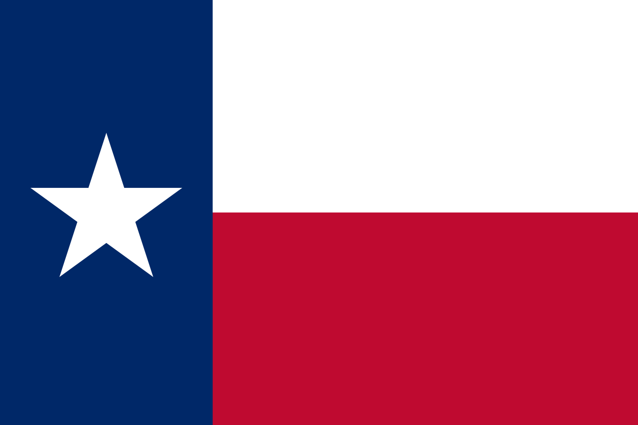 State of Texas - 4" x 6" Miniature Stick Flags 