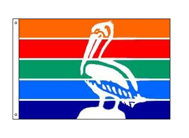 City of St. Petersburg, Florida Flag