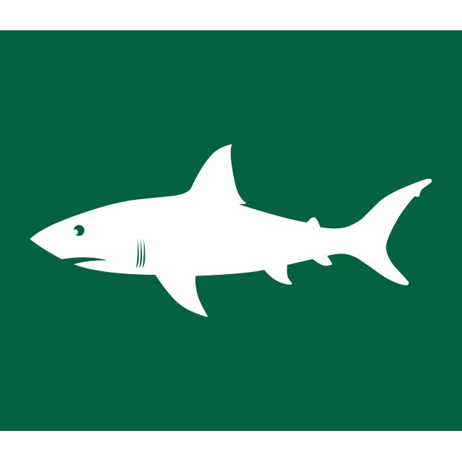 Shark Warning Flag (Green)