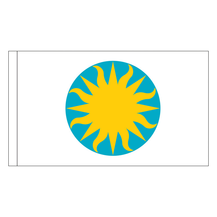 Smithsonian Institution Flag with pole sleeve