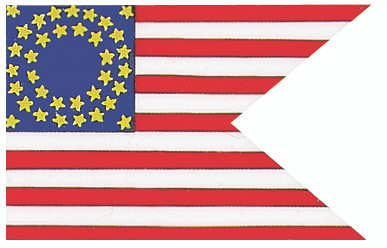 Cavalry Guidon Flag