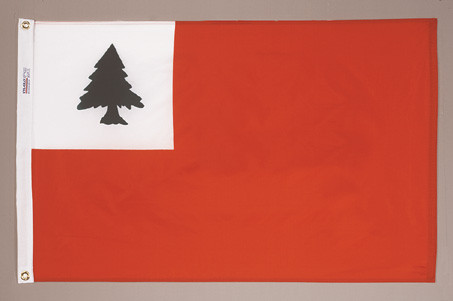 Continental Flag