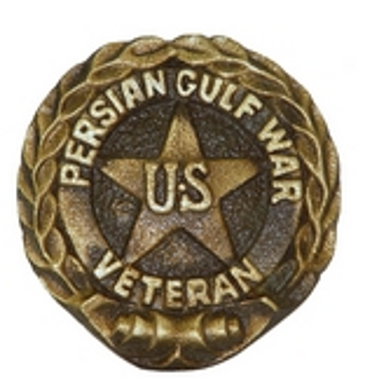 Persian Gulf War 3 Inch Bronze Medallion