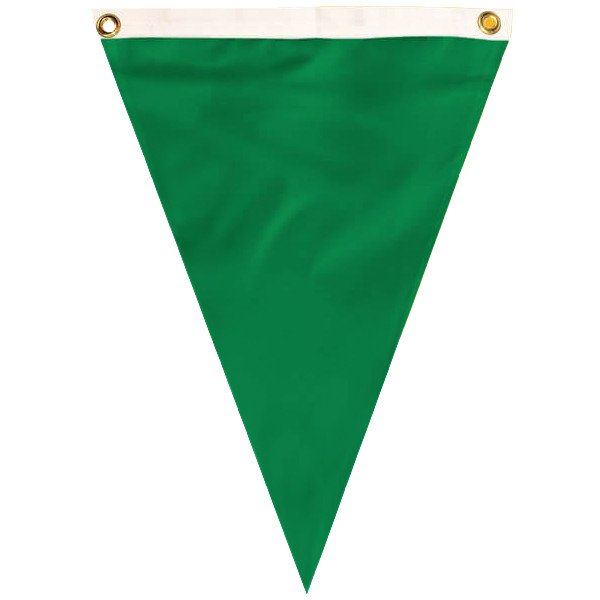 Air Quality Flag Pennant - Irish Green
