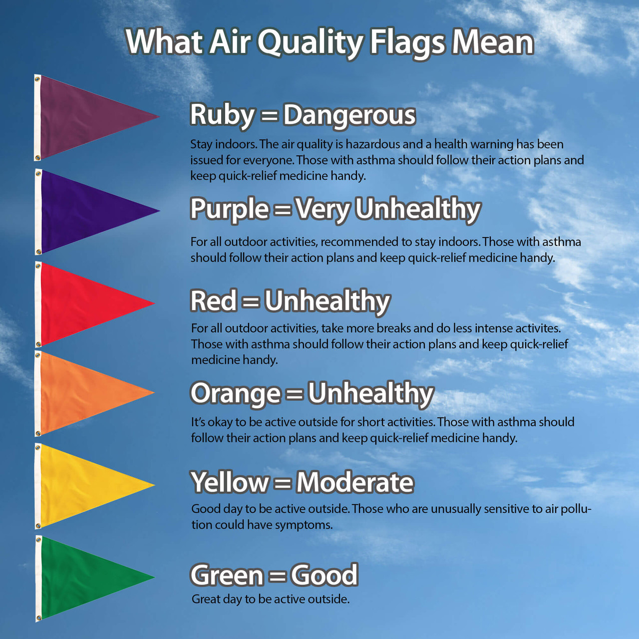 Air Quality Flag Pennant - Purple