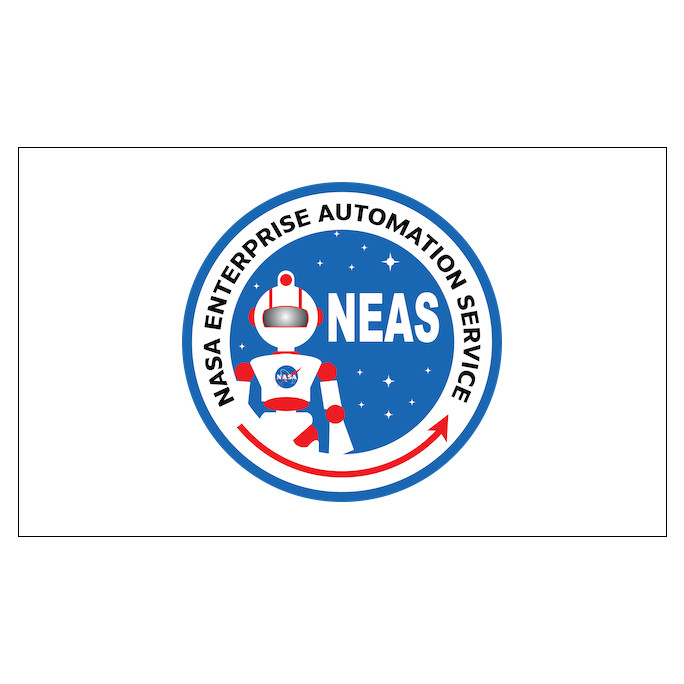NASA NEAS Flag