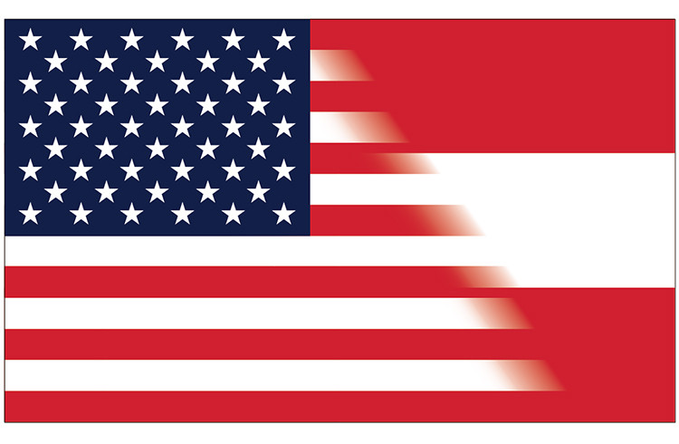 US / Austria 3x5 Custom Flag 