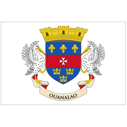 Flag of Saint Barthélemy ("St. Barts")