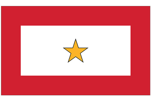 Custom Package qty 10- Gold Star 3x5 Service Flag - 1 Star