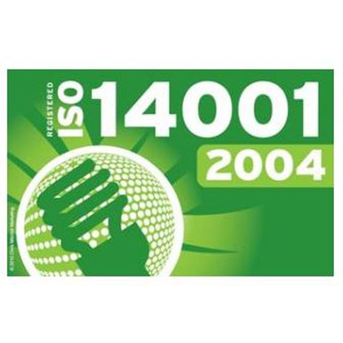ISO 14001/2004 Custom Flag