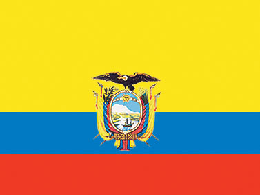 Ecuador - 4" x 6" Miniature Stick Flags