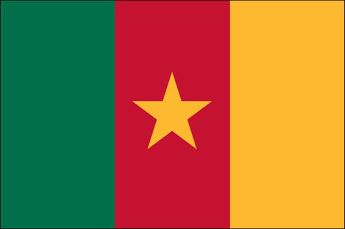 Cameroon - 4" x 6" Minature Stick Flags
