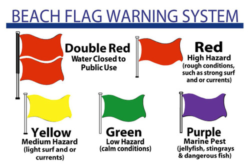 Beach Flag Warning System