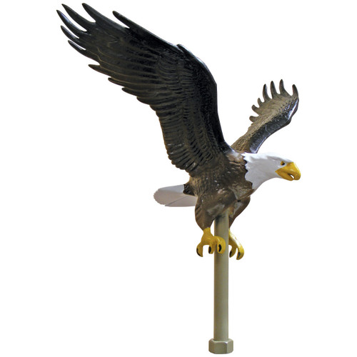 Eagle - Natural