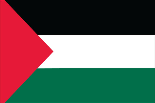 Palestine Flag