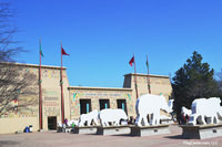 FlagCenter.com provides new flags for the Memphis Zoo