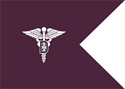dental-corps-guidon