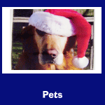 pets-thumb.png