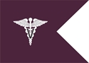 veterinary guidon
