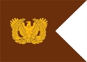 warrant officer guidon