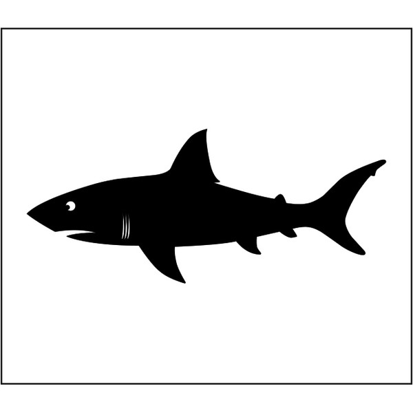 White Shark Warning Flag