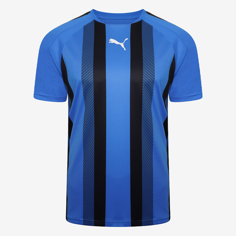 Puma teamLIGA Striped Shirt | FN Teamwear