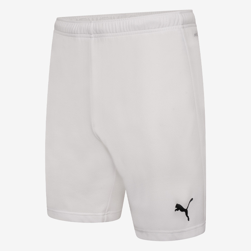 Puma teamRISE Shorts FN Teamwear