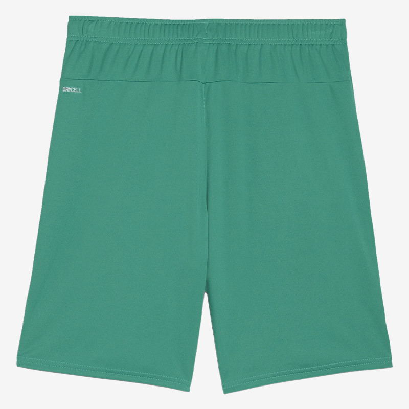 Puma teamGOAL Shorts FN Teamwear