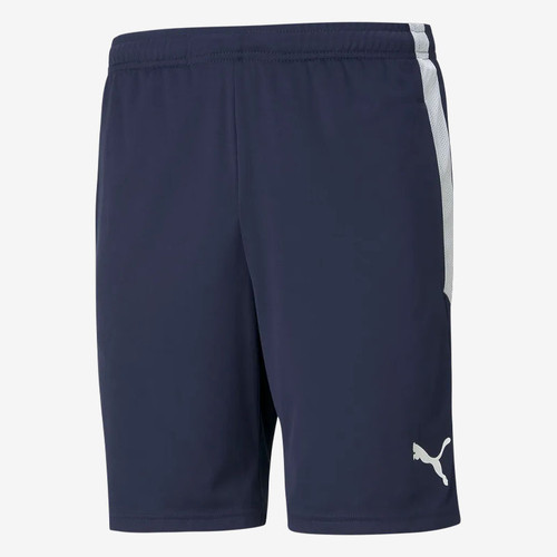 PUMA teamLIGA Training Shorts