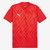Puma teamGLORY Kids Shirt