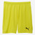 Puma teamGOAL Kids Shorts