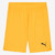 Puma teamGOAL Kids Shorts