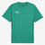 Puma teamGOAL Kids Jersey