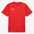 Puma teamGOAL Kids Jersey