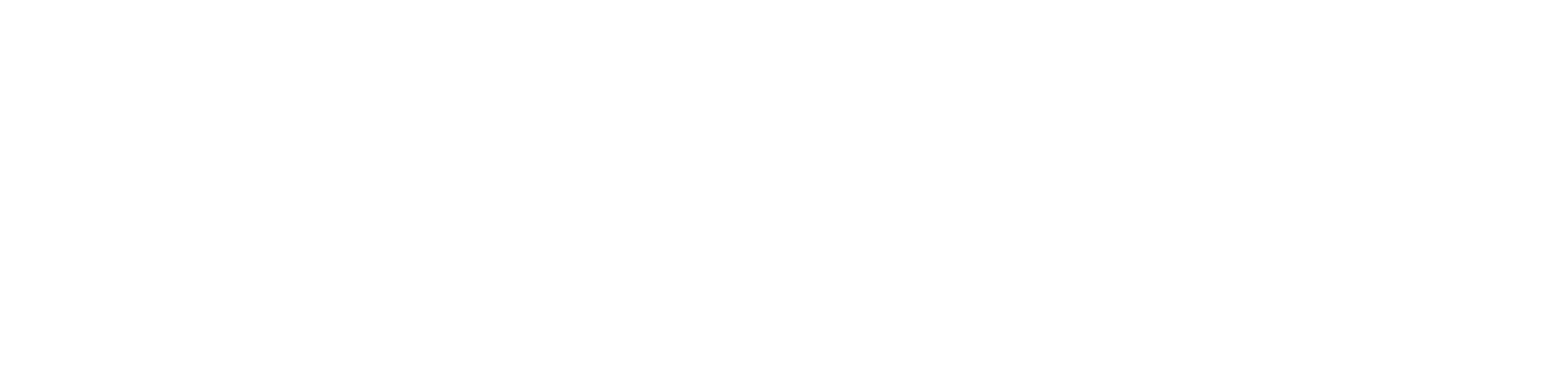 FN Teamwear logo