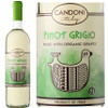 Candoni Organic Pinot Grigio Veneto IGT