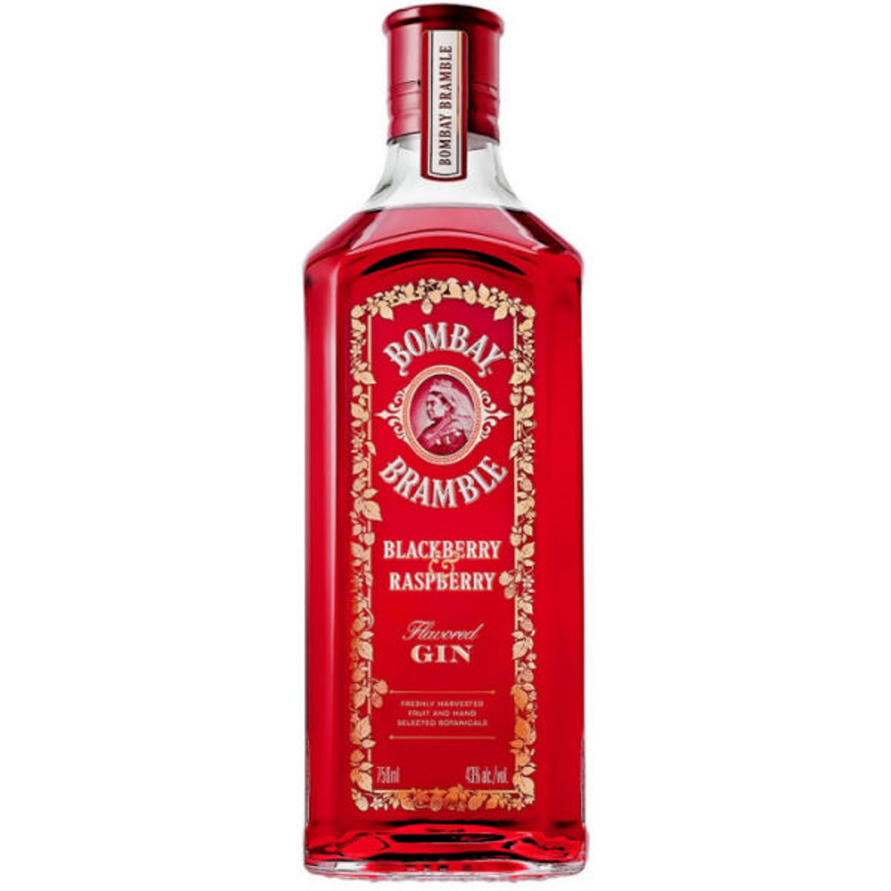 https://cdn11.bigcommerce.com/s-a04d0/images/stencil/1280x1280/products/20408/22259/bombay-bramble-berry-flavored-gin__31385.1661917583.jpg?c=2