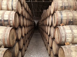 Unlocking the Secrets of Tequila Aging: A Playful Journey Through Time in a Bottle