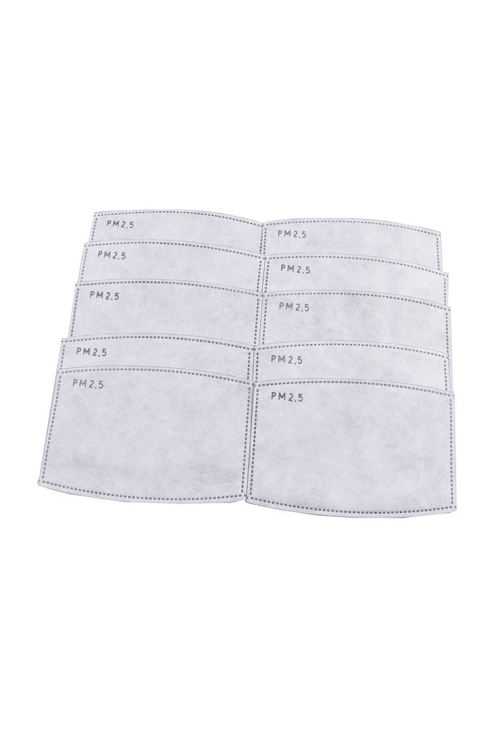 Wholesale 10 Pack - PM2.5 Replacement Filters