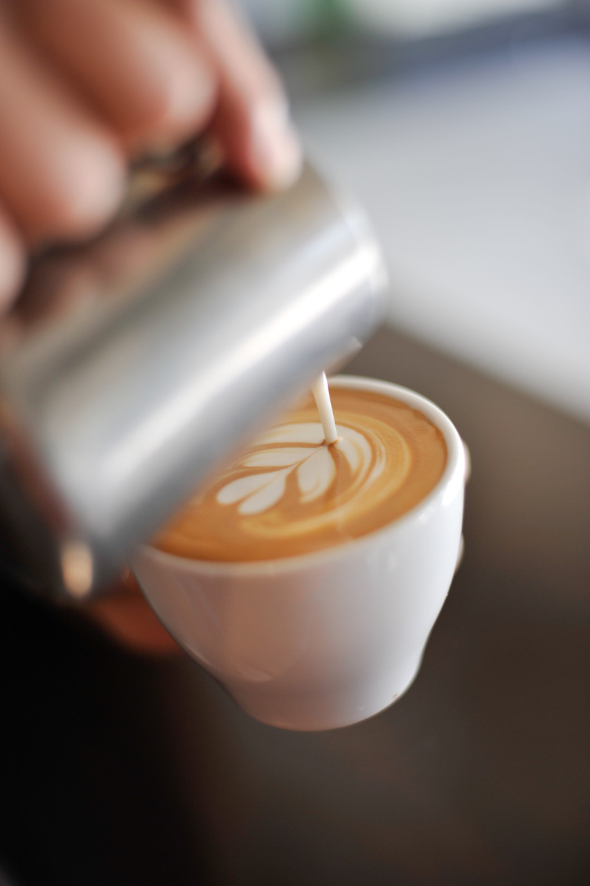 Latte Art Class - Chocolate Fish Coffee Roasters