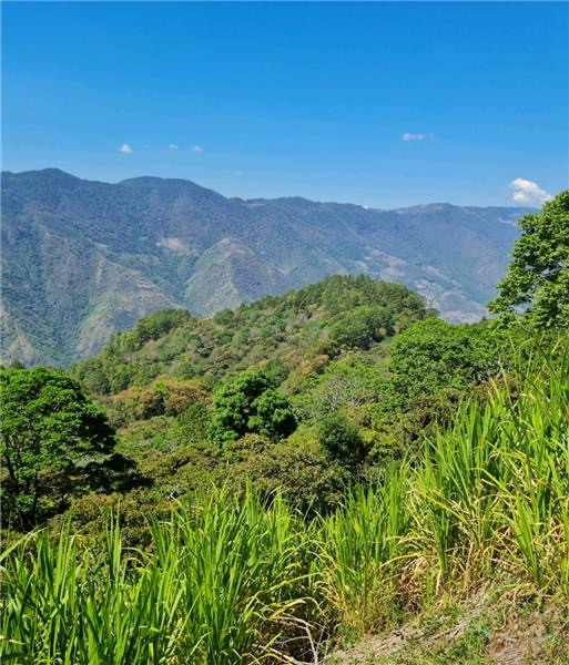 San Pancracio - Guatemala