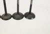 DR-Z250 2001-2007 Intake & Exhaust Valve Set Suzuki 12912-13E00 #212