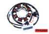 Perform Electrics TT-R50 2006-2020 Stator Assembly Back