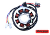 Perform Electrics TT-R50 2006-2020 Stator Assembly Front
