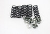 250-310 TC TE TXC 09-12 Clutch Springs & Bolts Husqvarna 800071230 #280