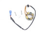 250 SX-F SXS-F 05–10 Stator Generator Assy KTM 77039004000 #284