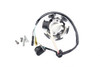 CRF80F 04–09 XR80R 00–03 Stator Generator Assy Honda 31120-GN1-691 #302