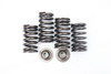 CRF450R 02-08 TRX450R 04-05 Valve Springs Honda #57